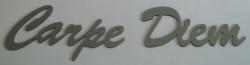Enseigne plexi carpe diem 2